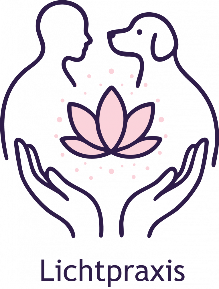 lichtpraxis.com